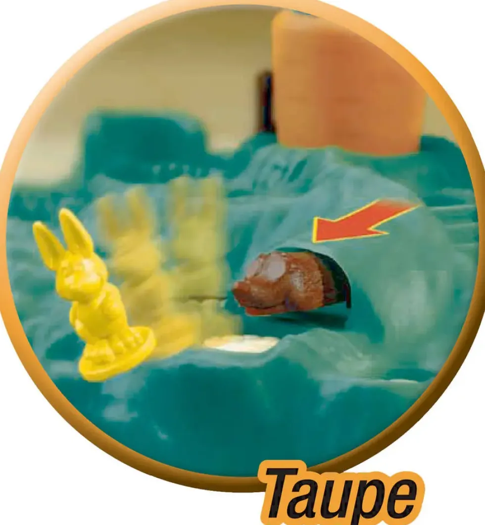 CROQUE CAROTTE