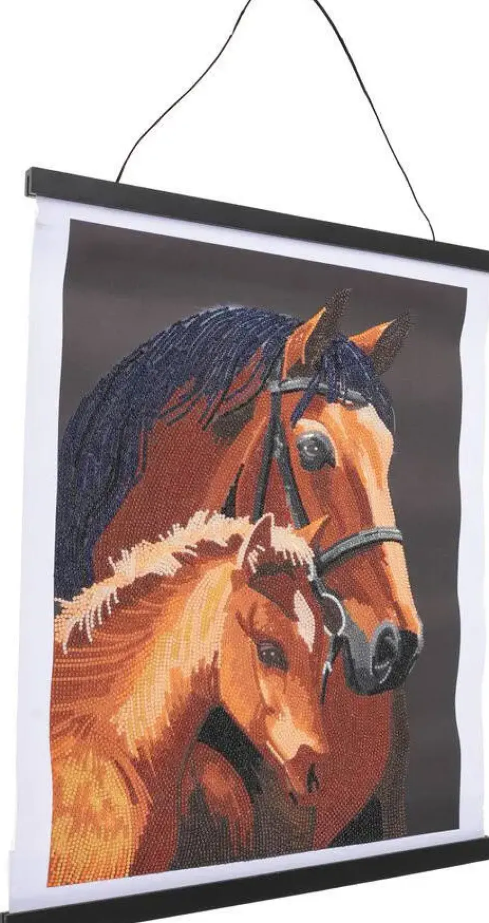 CRYSTAL ART - KIT POSTER A DIAMANTER 35 X 45 CM - CHEVAUX