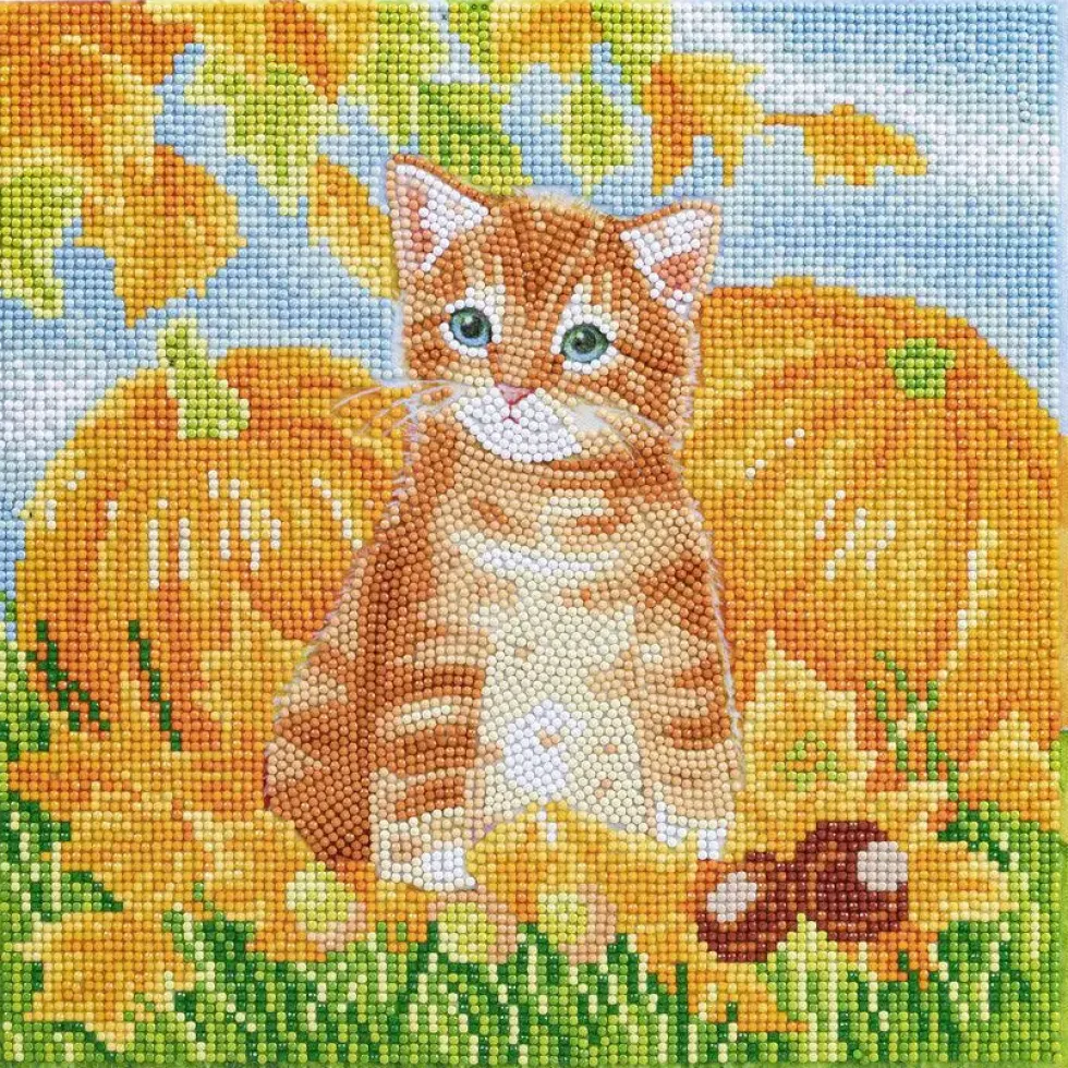 CRYSTAL ART KIT TABLEAU BRODERIE DIAMANT 30X30CM CHAT ET CIT