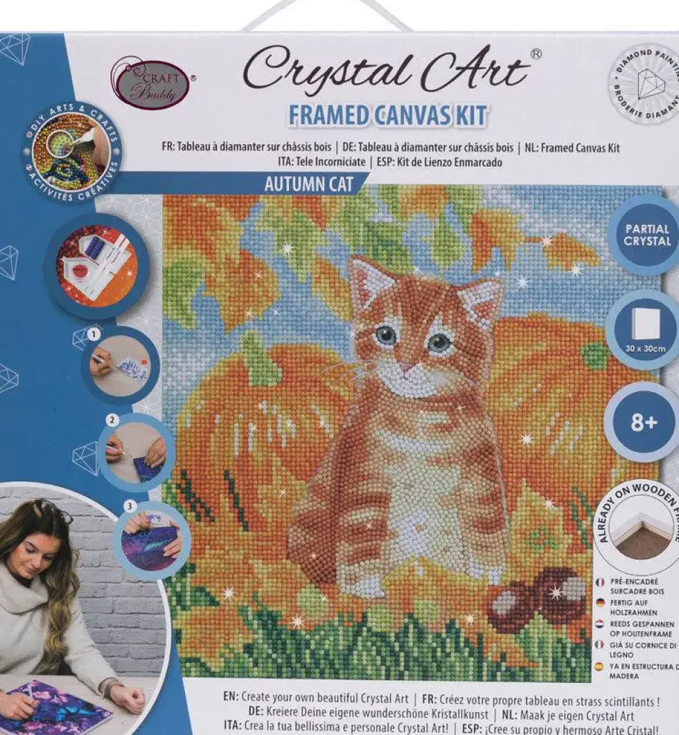 CRYSTAL ART KIT TABLEAU BRODERIE DIAMANT 30X30CM CHAT ET CIT