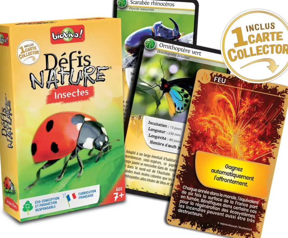 DEFIS NATURE - INSECTES