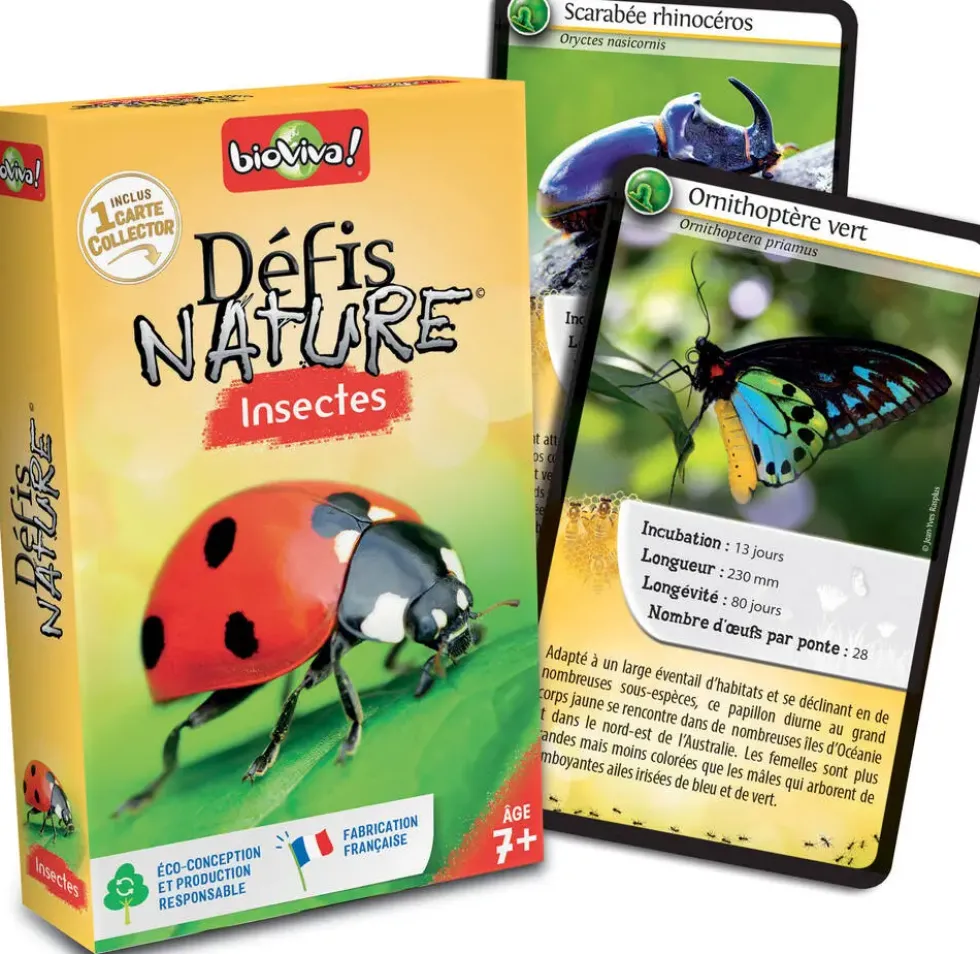 DEFIS NATURE - INSECTES