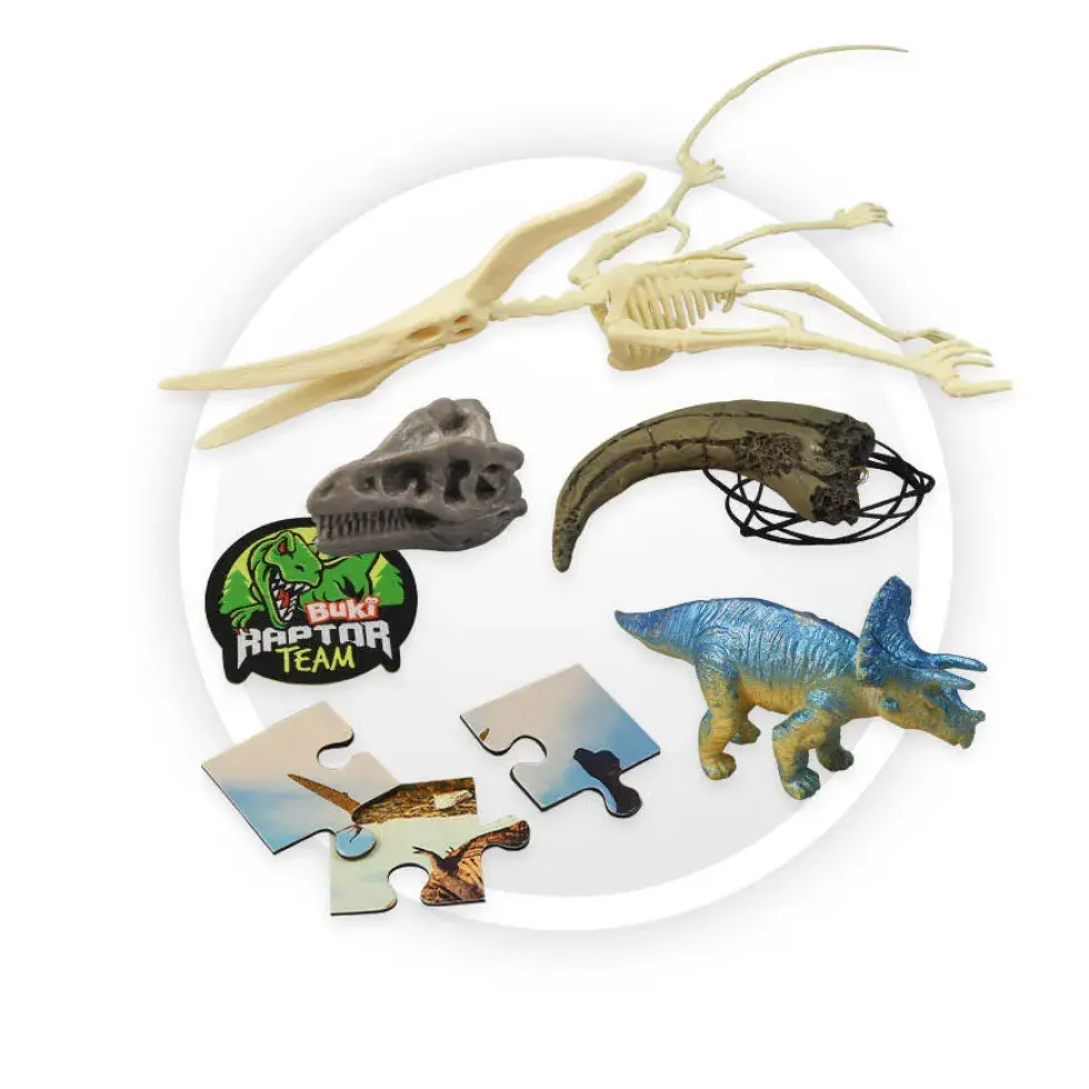 DINO SURPRISE BOX