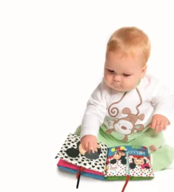 DISNEY BABY -LIVRE D'EVEIL EN TISSU
