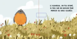 DOUCES HISTOIRES SONORES. LES OISEAUX