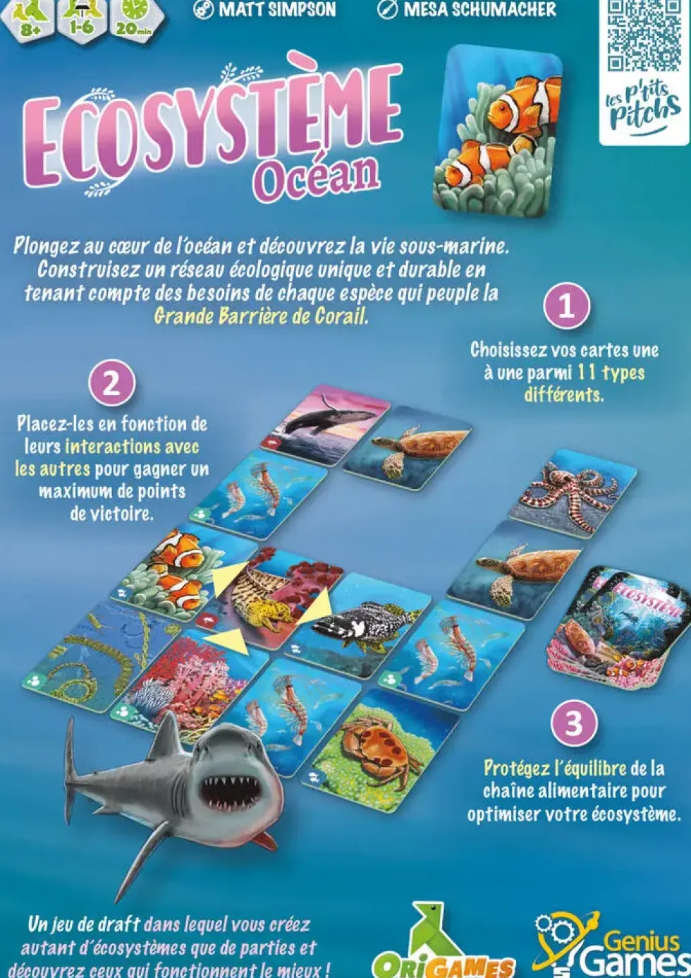 ECOSYSTEME - OCEAN