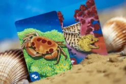 ECOSYSTEME - OCEAN
