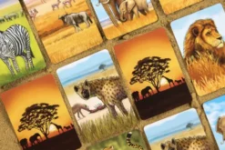 ECOSYSTEME - SAVANE