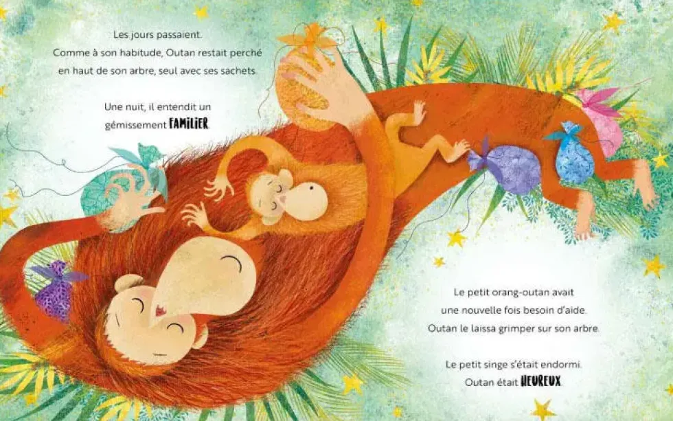 EDITIONS SASSI - UNE JALOUSIE D'ORANG-OUTAN