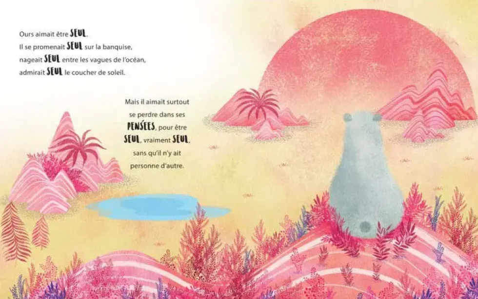 EDITIONS SASSI - UNE TIMIDITE D'OURS