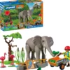 ELEPHANTS ET SOIGNEUR ANIMALIER 72068