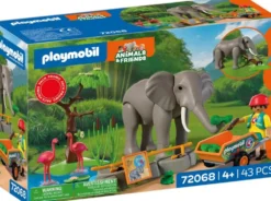 ELEPHANTS ET SOIGNEUR ANIMALIER 72068