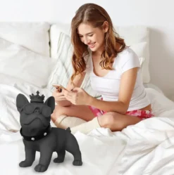 ENCEINTE BLUETOOTH FUNKY BULL NOIR