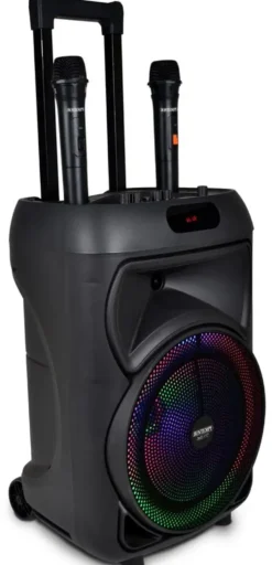 ENCEINTE 300 WATTS SANS FIL A ROULETTES + 2 MICROS