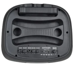 ENCEINTE 300 WATTS SANS FIL A ROULETTES + 2 MICROS