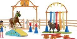 ENTRAINEMENT D'AGILITY POUR PONEY