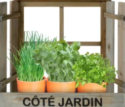 FENETRE JARDINIERE AVEC 3 POTS BAMBOO AVEC GRAINES ET SUBSTRAT 39.5X11X35 CM