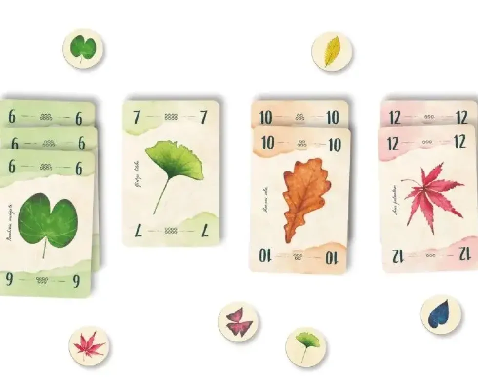 13 FEUILLES