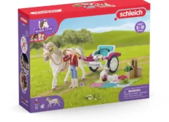 FIGURINE - CALECHE POUR LE SPECTACLE EQUESTRE