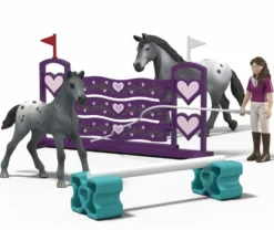 FIGURINE - L’ENTRAINEMENT AU TOURNOI DE LISA