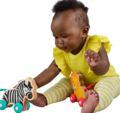 FISHER PRICE - ANIMAUX A POUSSER EN BOIS OS