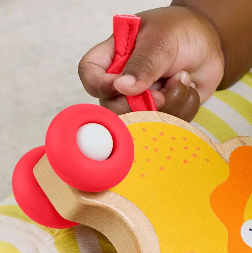 FISHER PRICE - ANIMAUX A POUSSER EN BOIS OS