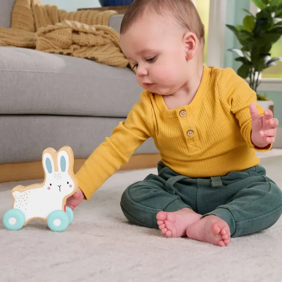 FISHER PRICE - LAPIN A POUSSER EN BOIS