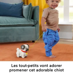 FISHER PRICE -MON CARLIN A PROMENER