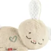 FISHER-PRICE MON LAPIN SUPER DODO