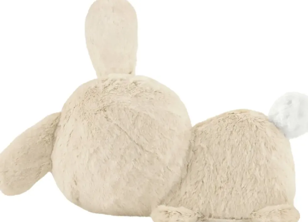 FISHER-PRICE MON LAPIN SUPER DODO
