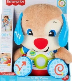 FISHER-PRICE - PELUCHE PUPPY EVEIL PROGRESSIF40 CM