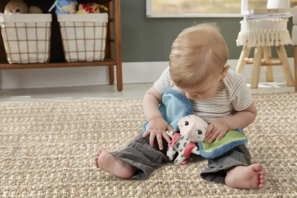 FISHER-PRICE - TEMBO MON DOUDOU ELEPHANT