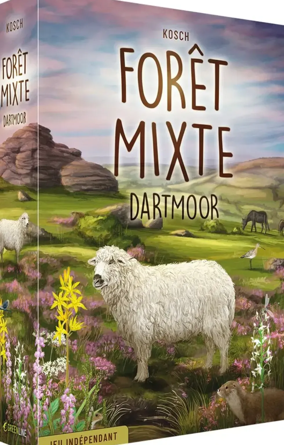 FORET MIXTE : DARTMOOR