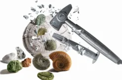 FOSSILES ET MINERAUX