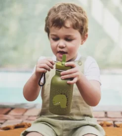 GOURDE 350ML - MR. DINO
