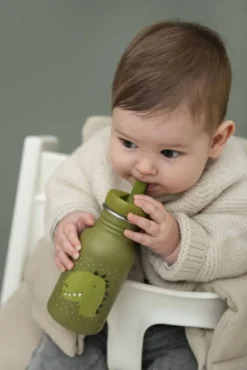 GOURDE 350ML - MR. DINO