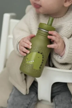 GOURDE 350ML - MR. DINO