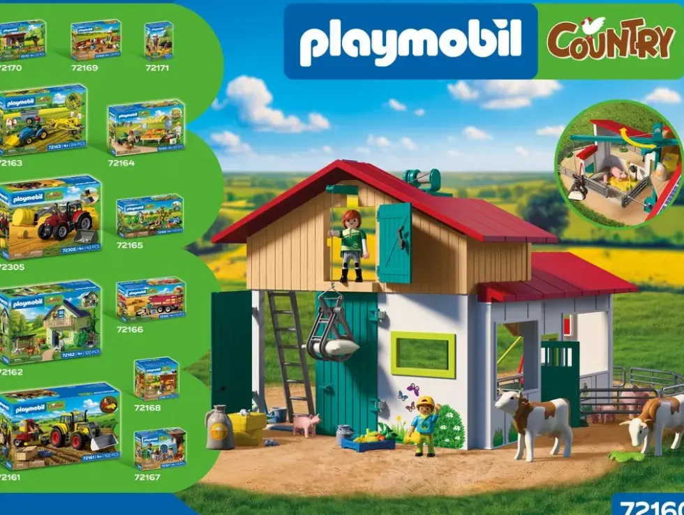 GRANDE FERME ET ETABLE 72160