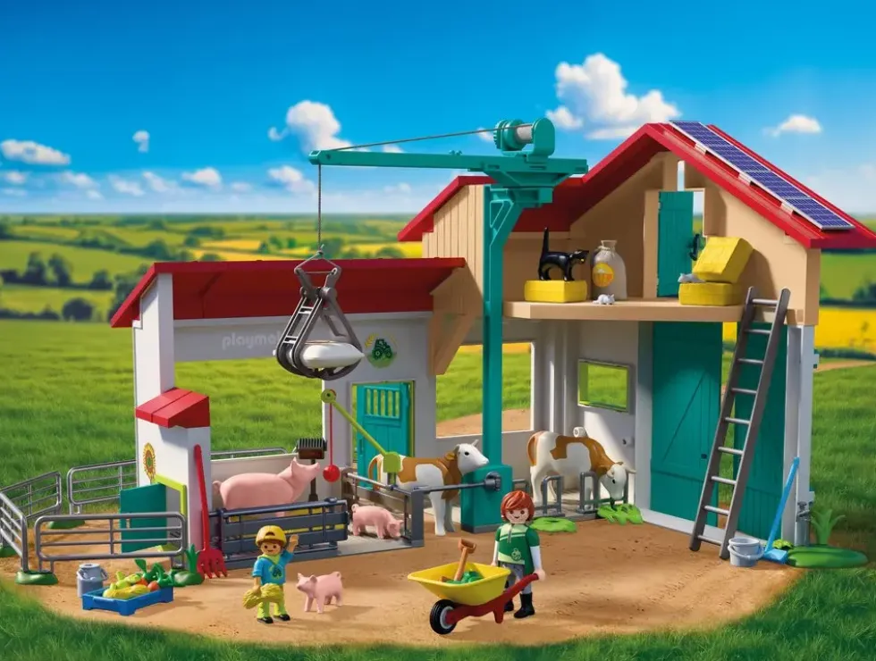 GRANDE FERME ET ETABLE 72160