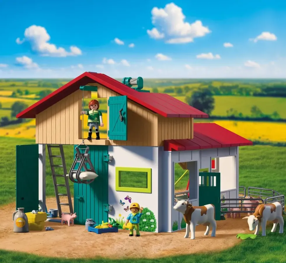 GRANDE FERME ET ETABLE 72160