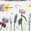HAMA MIDI BOITE - ART BOUQUET