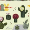 HAMA MIDI BOITE- ART CACTUS