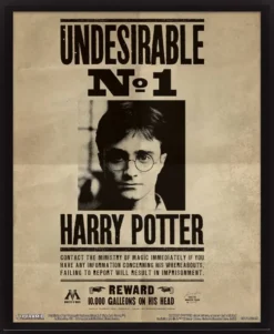 HARRY POTTER - CADRE 3D LENTICULAIRE SIRIUS BLACK