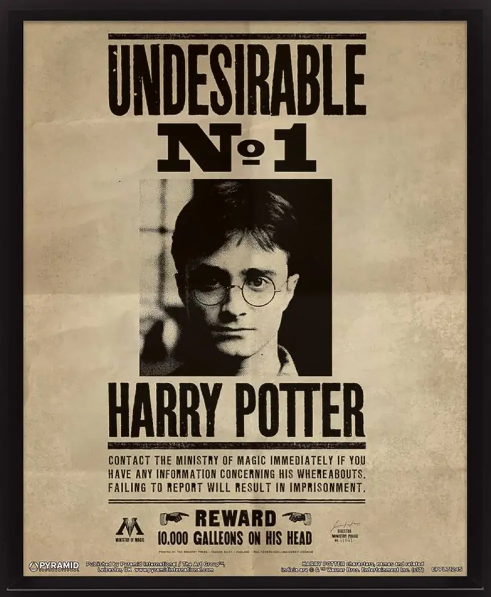 HARRY POTTER - CADRE 3D LENTICULAIRE SIRIUS BLACK