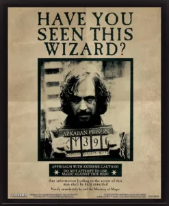 HARRY POTTER - CADRE 3D LENTICULAIRE SIRIUS BLACK