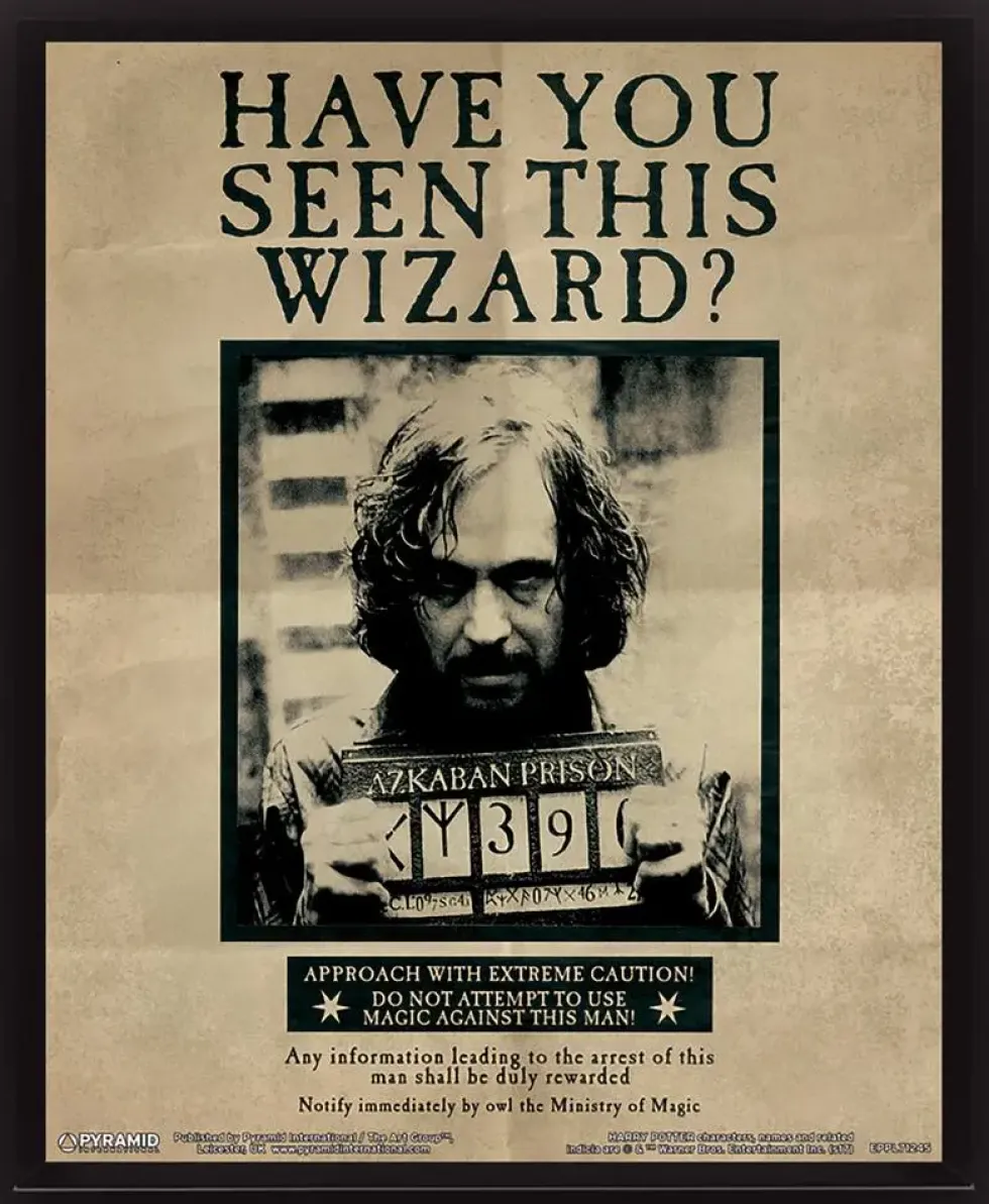 HARRY POTTER - CADRE 3D LENTICULAIRE SIRIUS BLACK