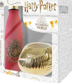 HARRY POTTER - COFFRET CADEAU MUG ET VIF D'OR
