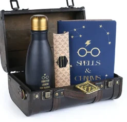 HARRY POTTER - COFFRET CADEAU - TROUBLE FINDS ME