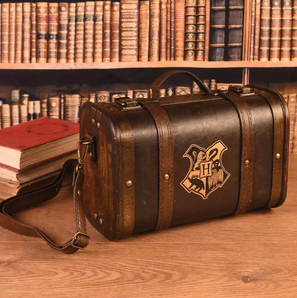 HARRY POTTER - COFFRET CADEAU - TROUBLE FINDS ME