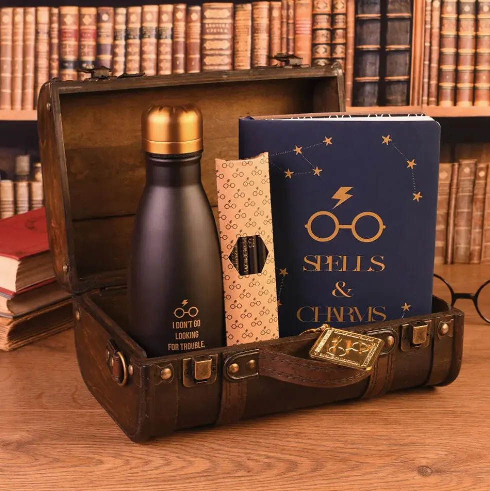 HARRY POTTER - COFFRET CADEAU - TROUBLE FINDS ME